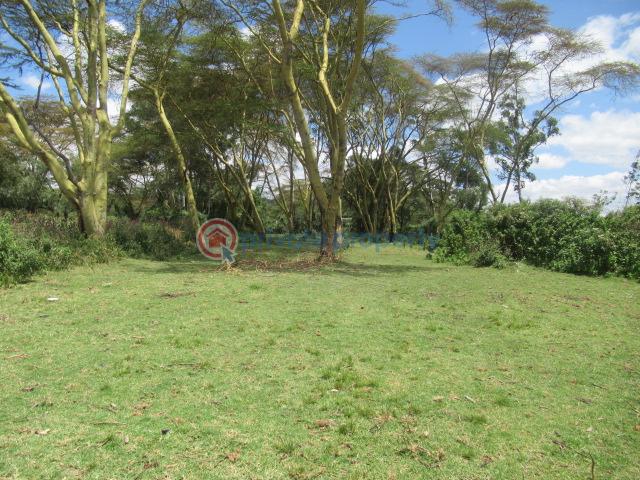 Land For Sale Lake Naivasha moi South Lake Road Naivasha East Nakuru - 10