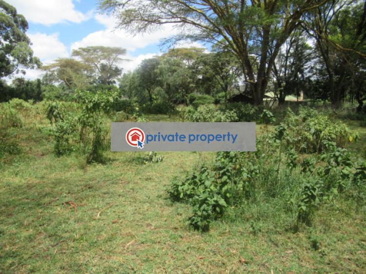 Land For Sale &nbsp;moi South Lake Rd Naivasha East Nakuru - 11