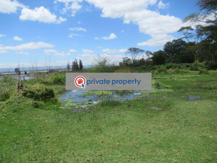 Land For Sale &nbsp;moi South Lake Rd Naivasha East Nakuru - 1