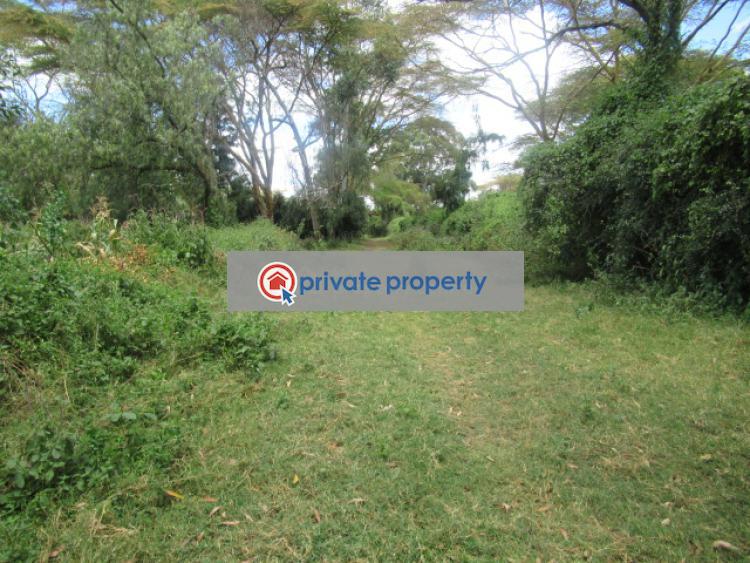 Land For Sale &nbsp;moi South Lake Rd Naivasha East Nakuru - 8