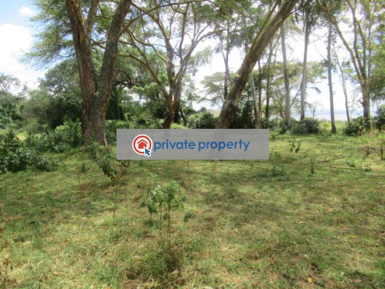Land For Sale &nbsp;moi South Lake Rd Naivasha East Nakuru - 10