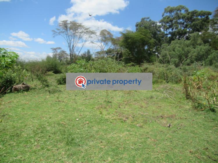 Land For Sale &nbsp;moi South Lake Rd Naivasha East Nakuru - 4