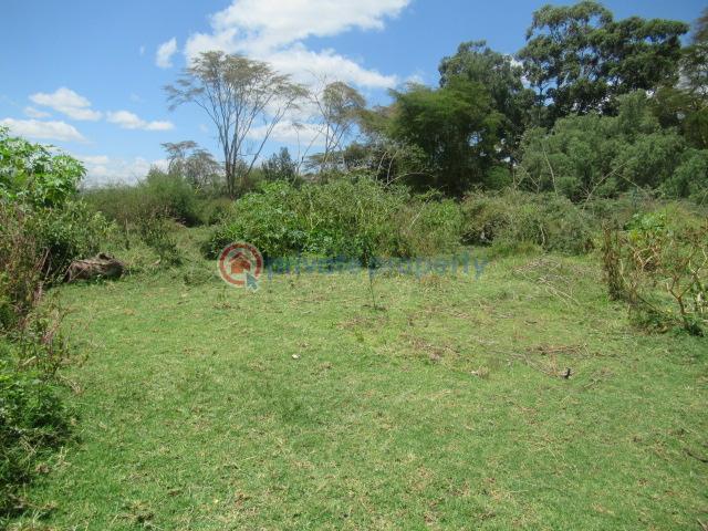 Land For Sale Lake Naivasha moi South Lake Road Naivasha East Nakuru - 7
