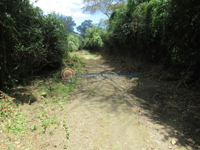 Land For Sale Lake Naivasha moi South Lake Road Naivasha East Nakuru - 2