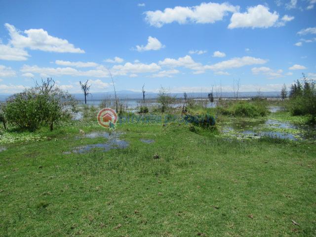 Land For Sale Lake Naivasha moi South Lake Road Naivasha East Nakuru - 1