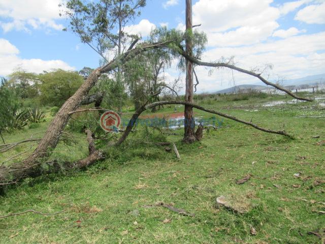 Land For Sale Lake Naivasha moi South Lake Road Naivasha East Nakuru - 5