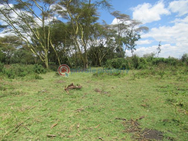 Land For Sale Lake Naivasha moi South Lake Road Naivasha East Nakuru - 8