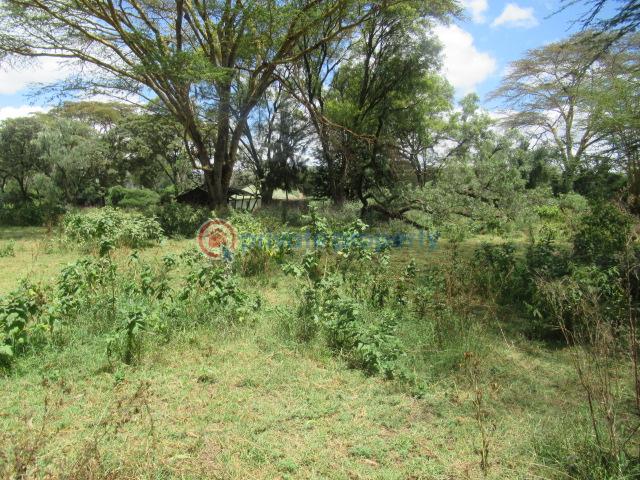 Land For Sale Lake Naivasha moi South Lake Road Naivasha East Nakuru - 13