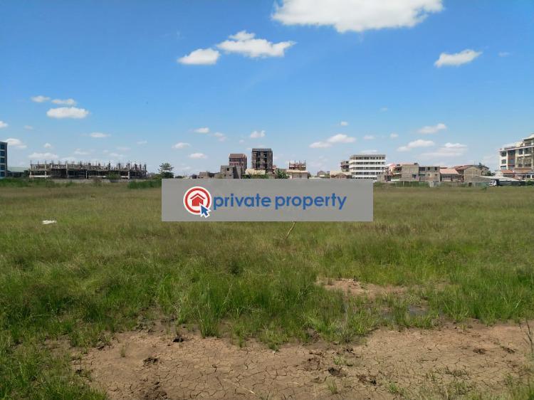 Mixed use Land For Sale &nbsp;ruiru Ruiru Kiambu - 3