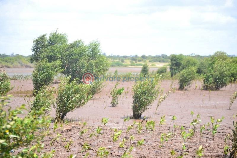 Land For Sale Malindi, Sabaki Malindi Malindi Town Kilifi - 3