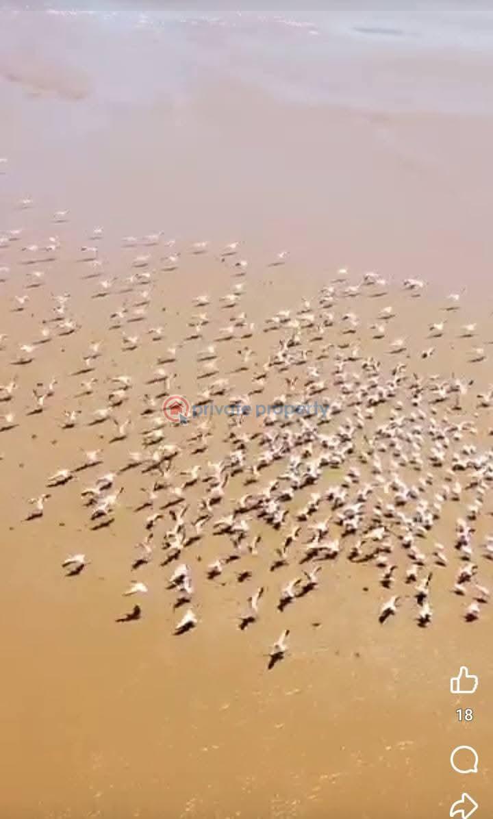 Land For Sale Malindi, Sabaki Malindi Malindi Town Kilifi - 4