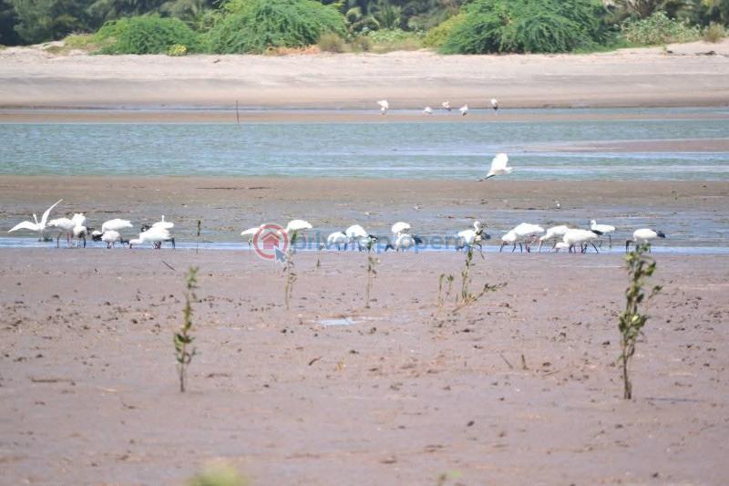 Land For Sale Malindi, Sabaki Malindi Malindi Town Kilifi - 2