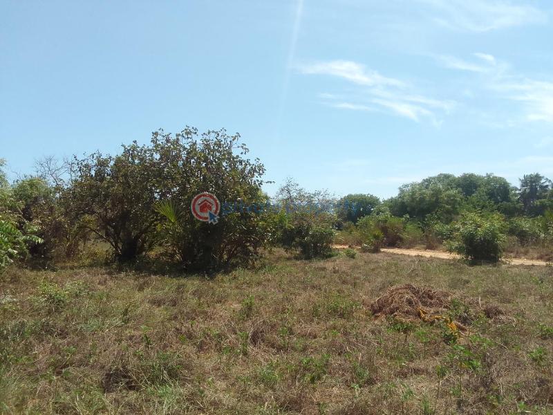 Land For Sale Jaribuni Kilifi - 0