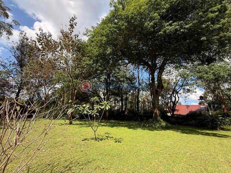 Land For Sale Ridgeways Riabai Kiambu - 9