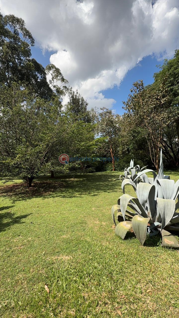 Land For Sale Ridgeways Riabai Kiambu - 8