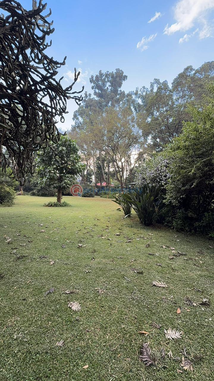 Land For Sale Ridgeways Riabai Kiambu - 2