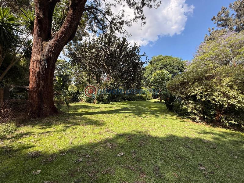 Land For Sale Ridgeways Riabai Kiambu - 5