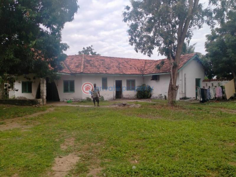 Land For Sale Matsangoni Kilifi - 3