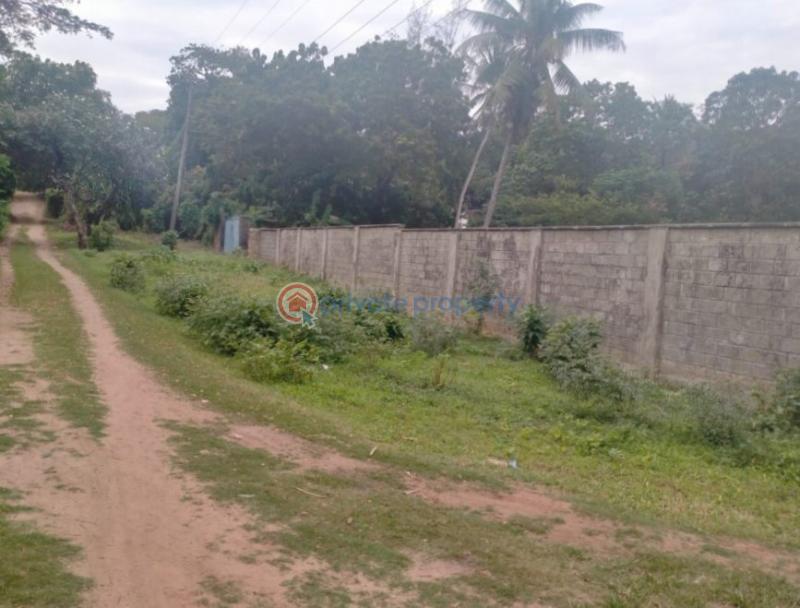 Land For Sale Matsangoni Kilifi - 1