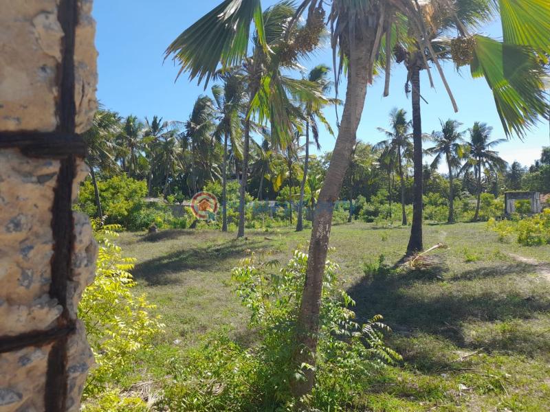 Land For Sale Kikambala Mtwapa Kilifi - 7