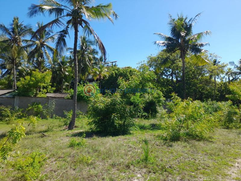 Land For Sale Kikambala Mtwapa Kilifi - 4
