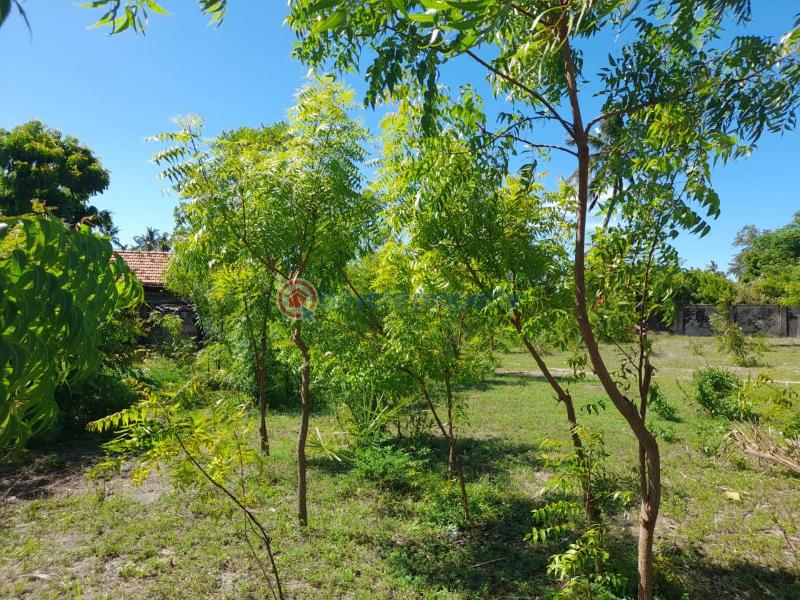 Land For Sale Kikambala Mtwapa Kilifi - 2