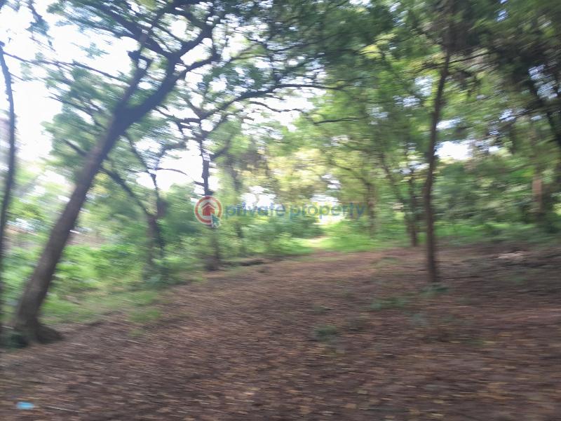 Land For Sale Nyali Mombasa  - 1