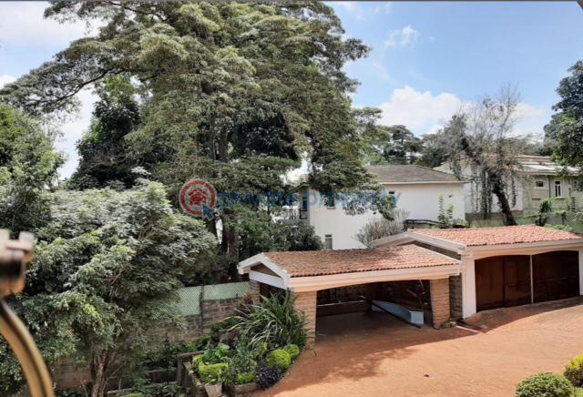 Land For Sale Old Muthaiga Nairobi - 3