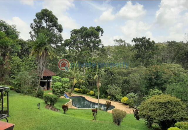 Land For Sale Old Muthaiga Nairobi - 1