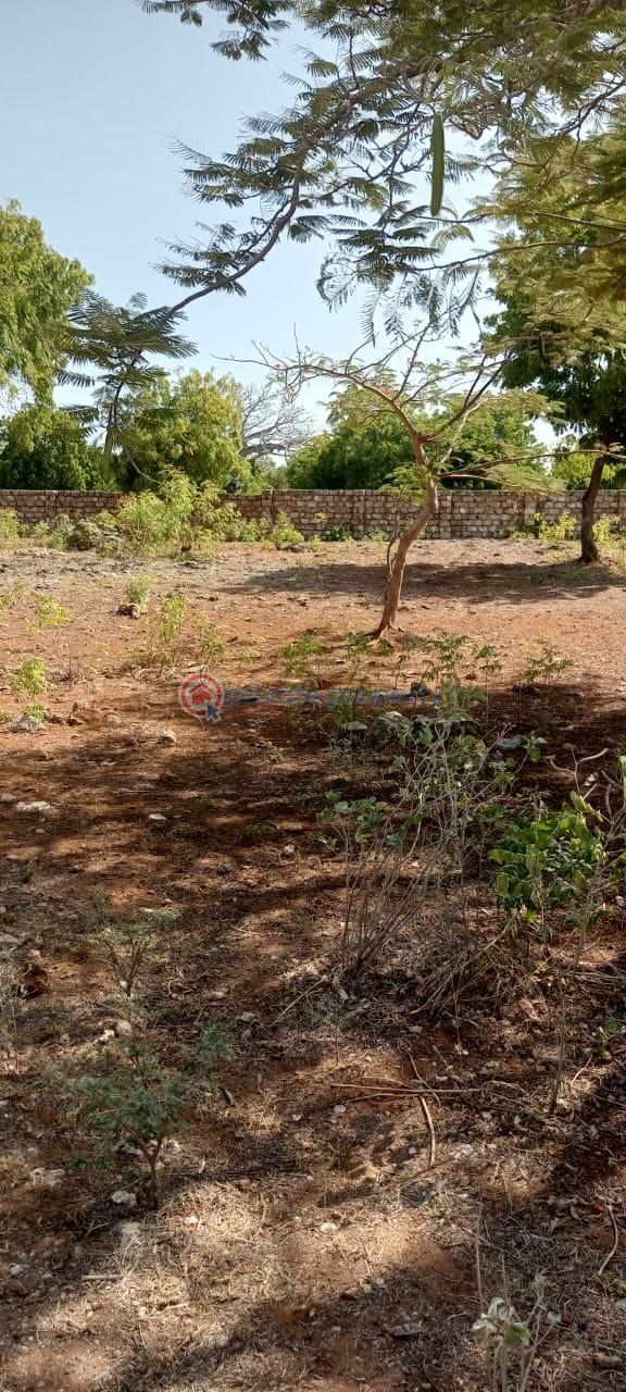 Land For Sale Bpfa Road Bofa Beach. Sokoni Kilifi - 4