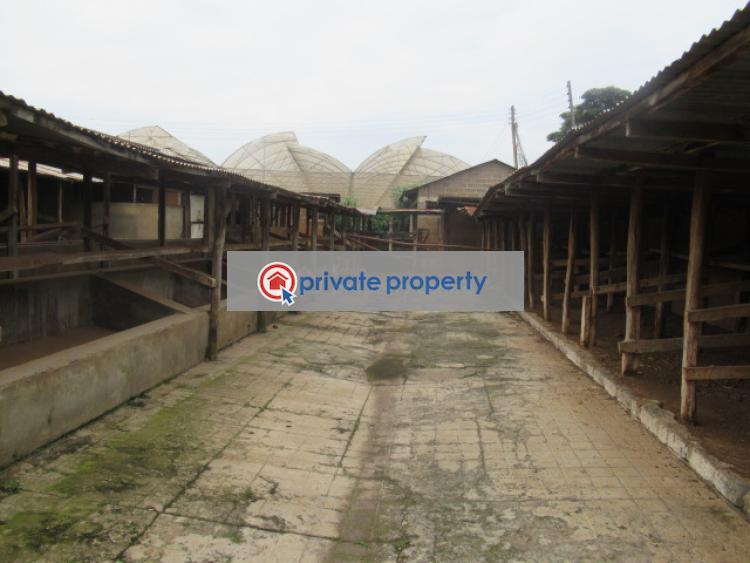 Land For Sale &nbsp;red Hill Tigoni Kiambu - 14