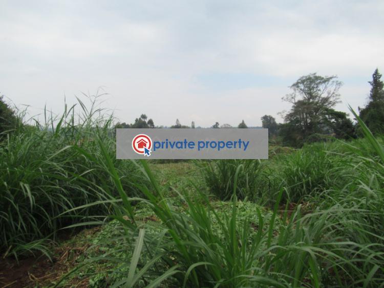 Land For Sale red Hill Tigoni Kiambu (PID 0PAEJS) Private Property