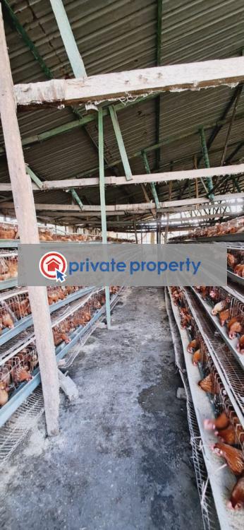 Tank Farm For Sale Sokoni Kilifi - 8