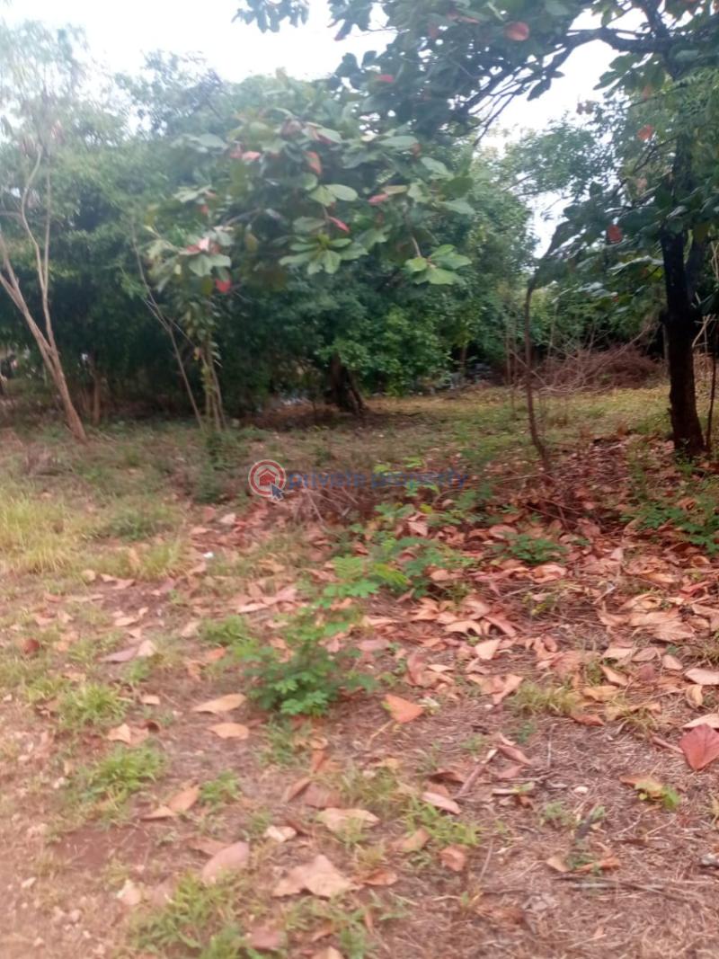 10 bedroom Hotel / Guest House For Sale Diani Beach Ukunda Ukunda. Kwale - 9