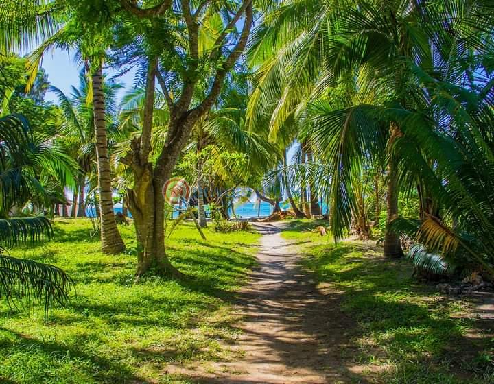 Commercial Property For Sale Ukunda Kwale Diani Beach Ukunda. Kwale - 6