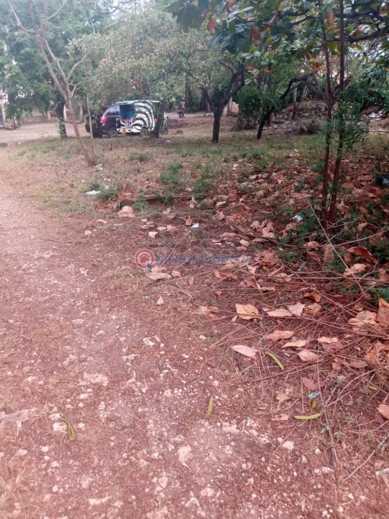 10 bedroom Hotel / Guest House For Sale Diani Beach Ukunda Kwale - 25
