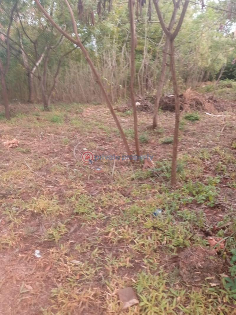 10 bedroom Hotel / Guest House For Sale Diani Beach Ukunda Kwale - 27