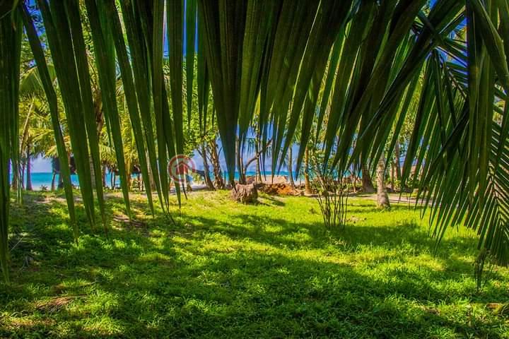 Commercial Property For Sale Ukunda Kwale Diani Beach Ukunda. Kwale - 3