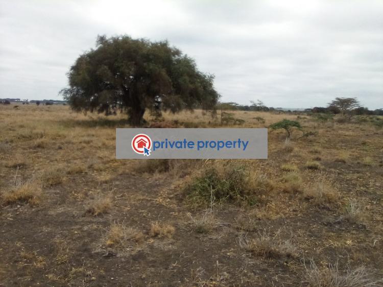 Land For Sale &nbsp;kisaju Kitengela Kajiado - 9