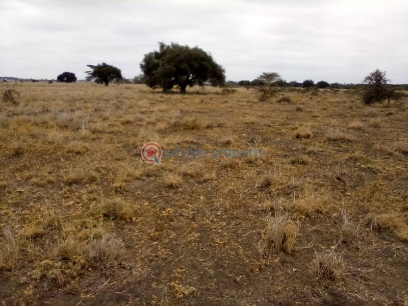 Land For Sale Kisaju Town kisaju Kitengela Kajiado - 3