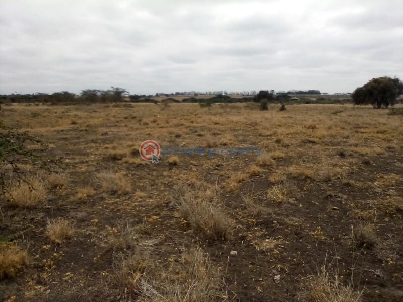 Land For Sale Kisaju Town kisaju Kitengela Kajiado - 7