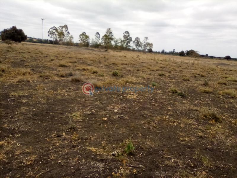 Land For Sale Kisaju Town kisaju Kitengela Kajiado - 4