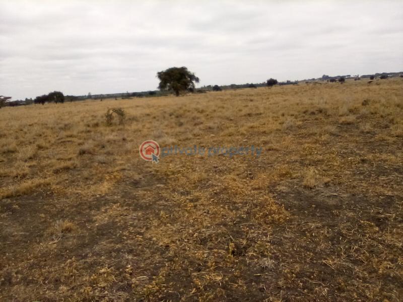 Land For Sale Kisaju Town kisaju Kitengela Kajiado - 9