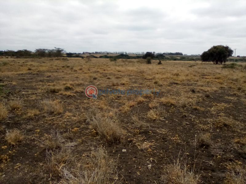 Land For Sale Kisaju Town kisaju Kitengela Kajiado - 5