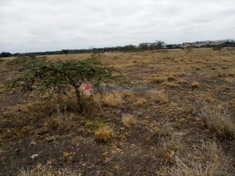 Land For Sale Kisaju Town kisaju Kitengela Kajiado - 6