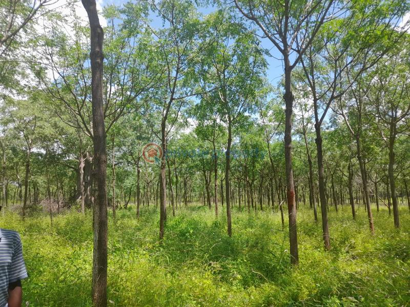 Mixed use Land For Sale Mtito Andei Kisau-Kiteta Makueni - 1