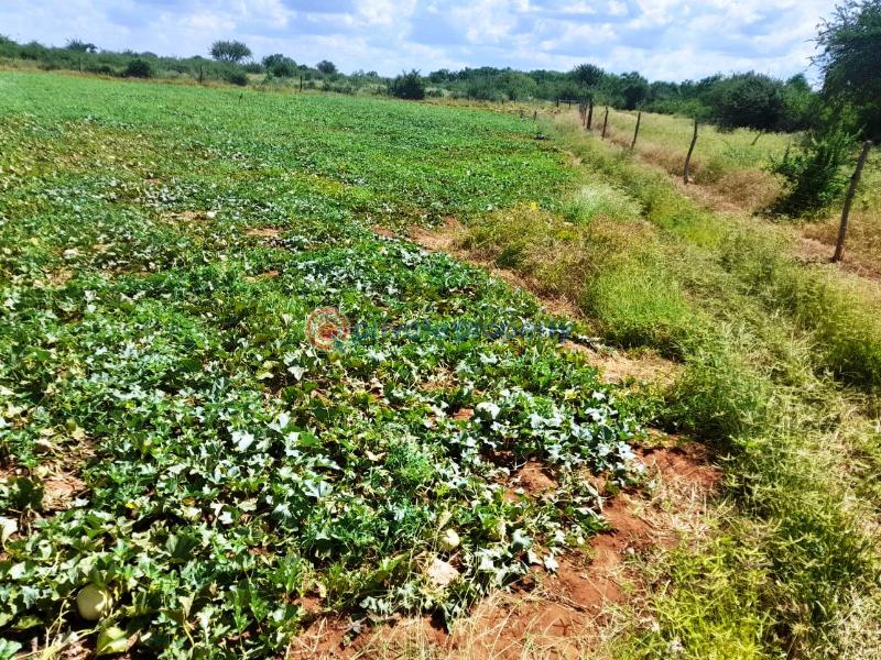 Mixed use Land For Sale Mtito Andei Kisau-Kiteta Makueni - 0