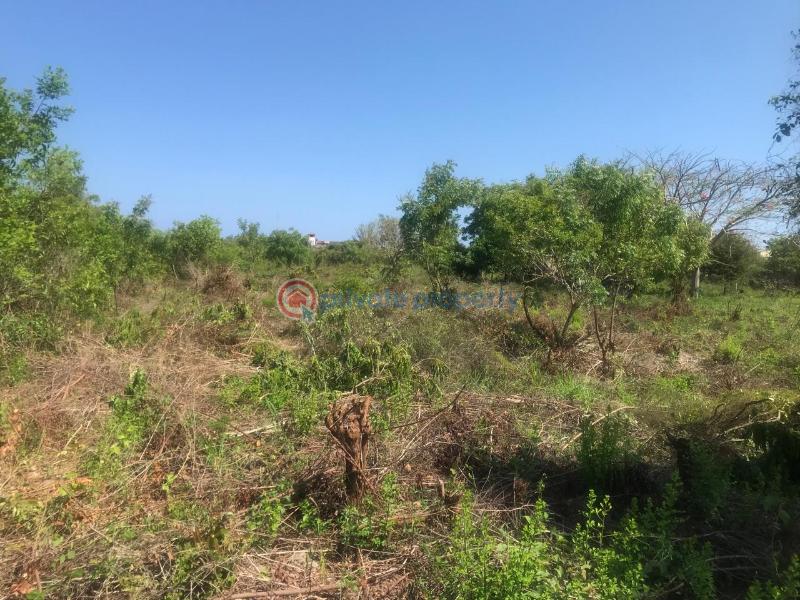 Land For Sale Off Diani Link Rd Diani Ukunda Kwale - 5