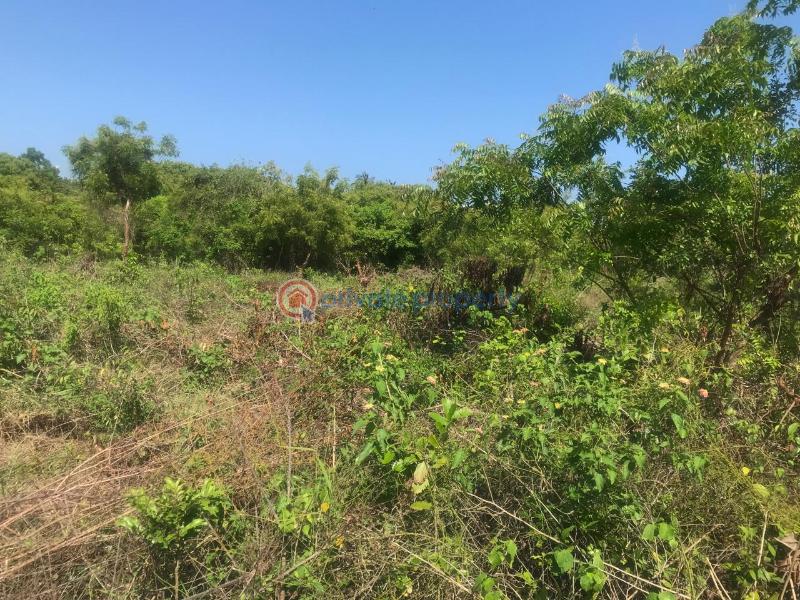 Land For Sale Off Diani Link Rd Diani Ukunda Kwale - 6