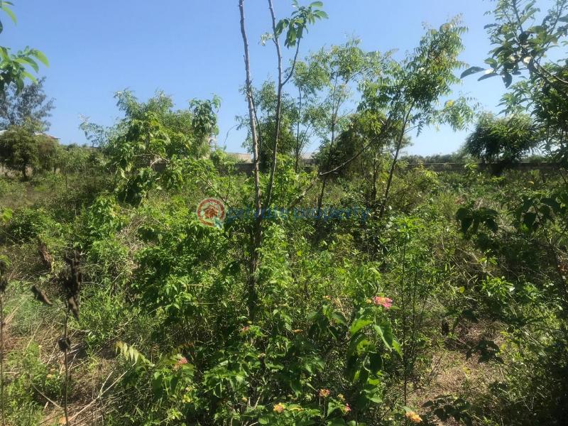Land For Sale Off Diani Link Rd Diani Ukunda Kwale - 7